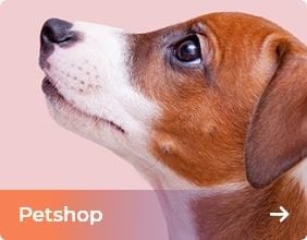 Pet Shop Ürünleri
